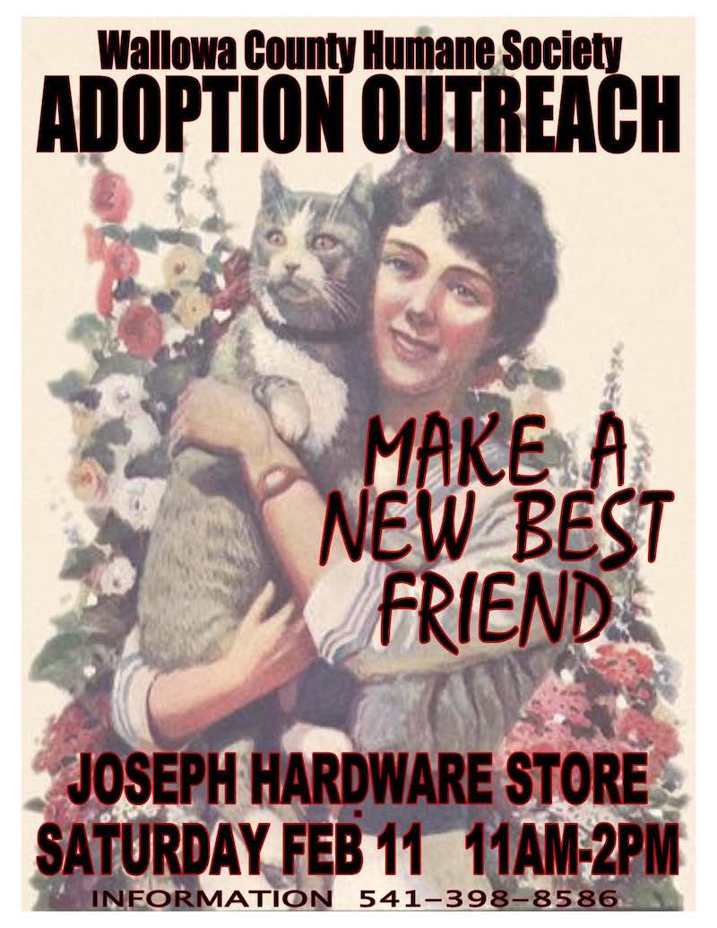 Adoption Outreach Poster 2023 JPEG