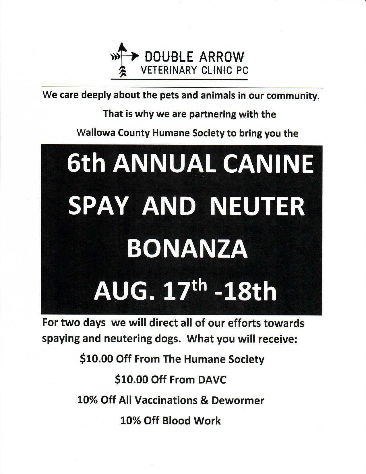 Canine spay and neuter extravaganza 2021
