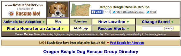 Beagle Rescue header