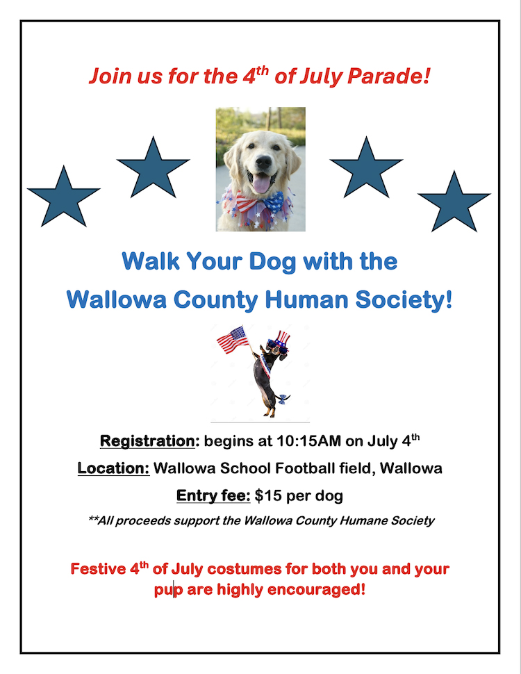 July 4th 2025 parade copy